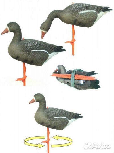 Чучела гуся белолобого складывающиеся sport plast