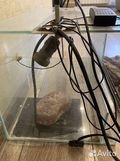 Террариум для рептилий бу