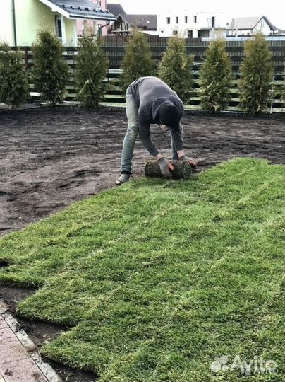 Укладка газона