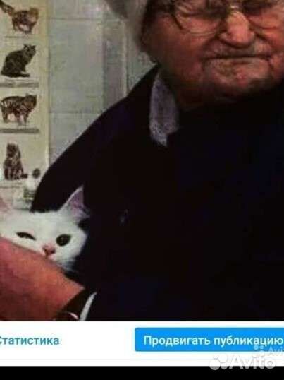 Ветеринарный врач круглосуточно Отлов