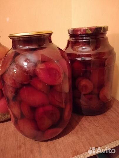 Слива ягода