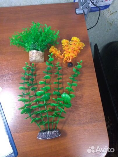 Искусственные растения и ракушки