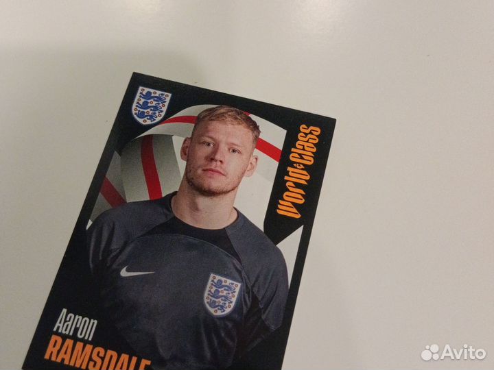 Наклейки Panini World Class