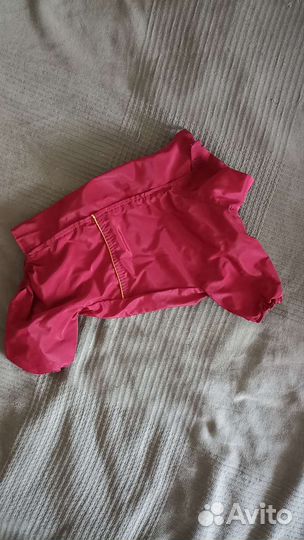 Одежда для маленьких собак