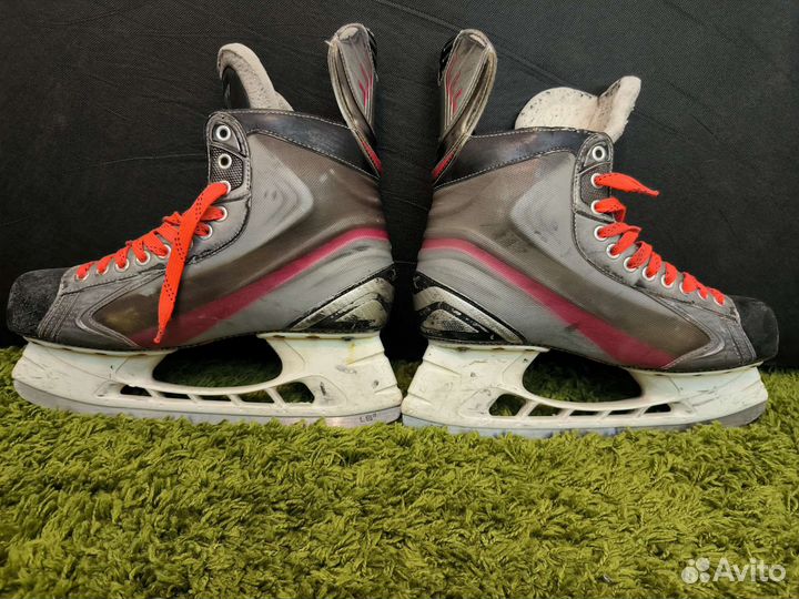 Коньки Bauer Vapor x5.0
