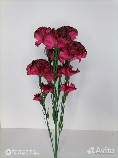 Ветка гвоздик натуральных