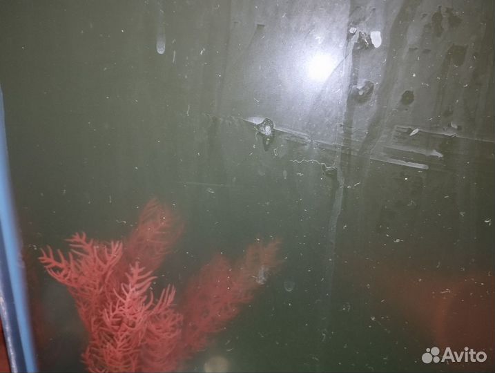 Большой аквариум 200л