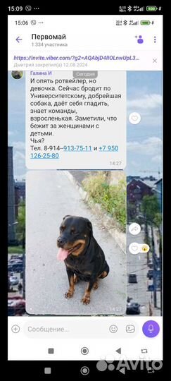 Девочка ротвейлер