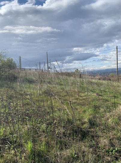 Участок 14 сот. (СНТ, ДНП)