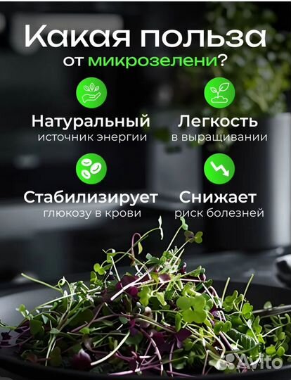 Семена для микрозелени