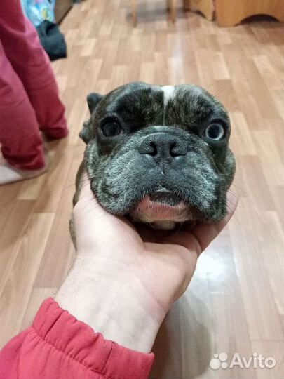 Приглашаем на вязку