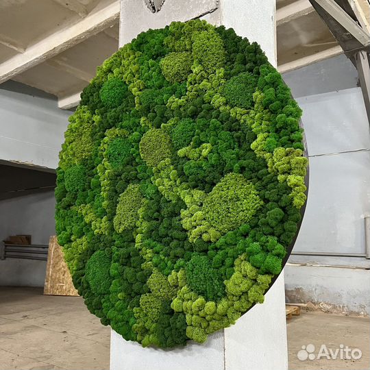 Круг панно из мха