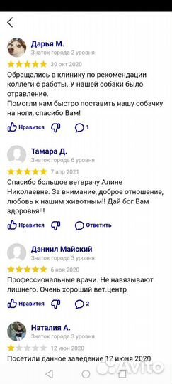 Стерилизация кошек и кастрация котов