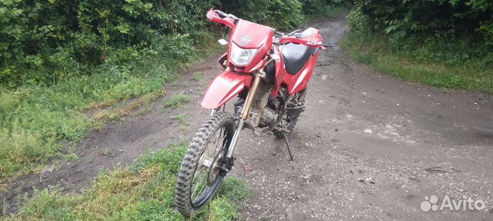 Irbis TTR 250 с птс