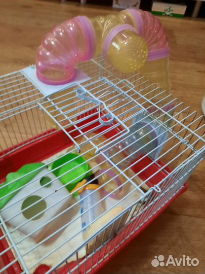 Клетка для грызунов