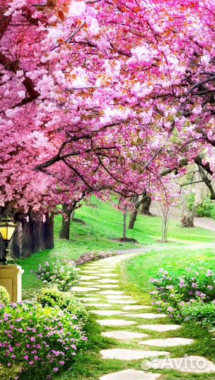 Сад благоустройство