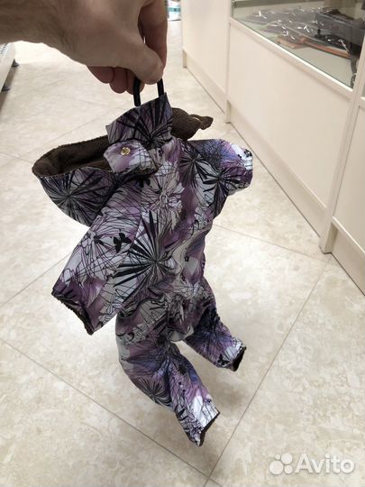 Одежда для собак