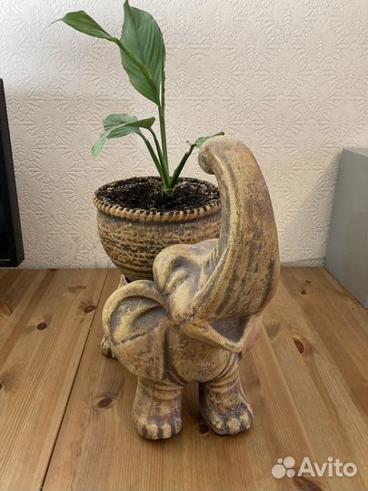 Слоник кашпо для цветов