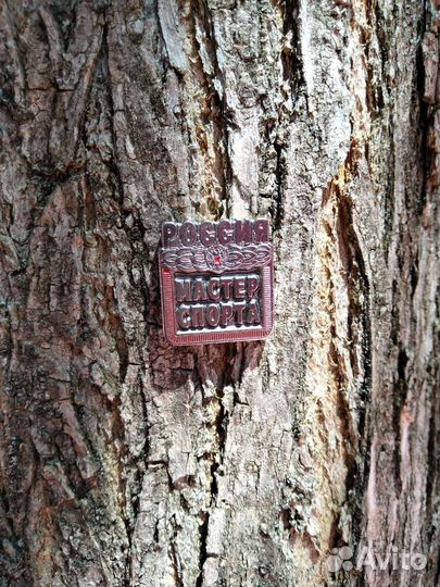 Значки мс, мсмк, змср