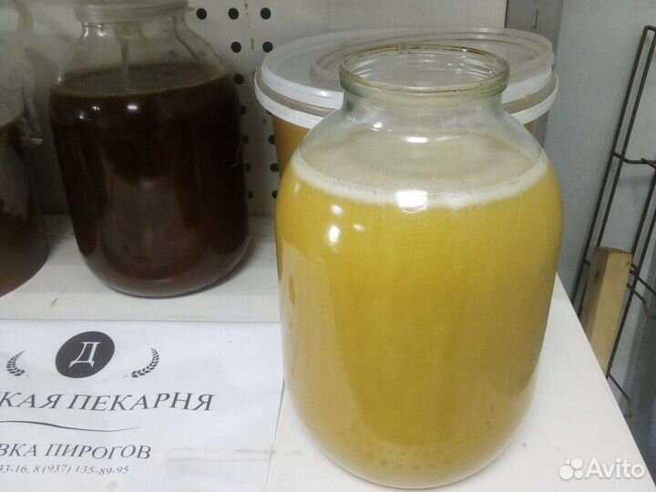 Мед алтайский