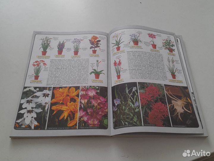 Всё о комнатных растениях Д.Г. Хессайон