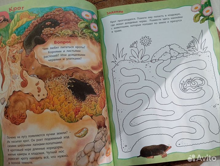 Детская книга 