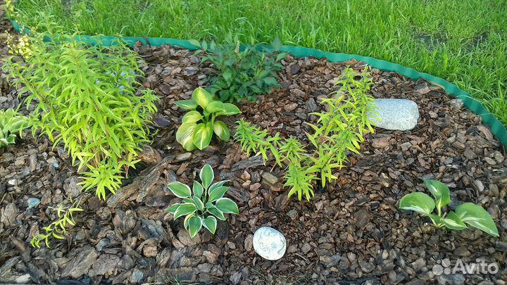 Мульча для сада и огорода