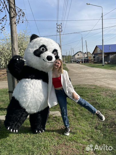 Поздравление от Белого мишки Пломбира