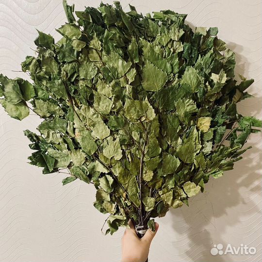Дубовые веники для бани