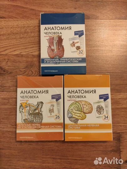 Карточки для изучения анатомии