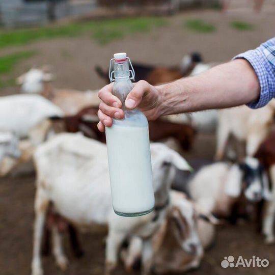 Козье молоко