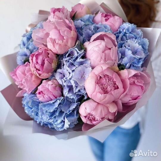 Цветы Гортензии