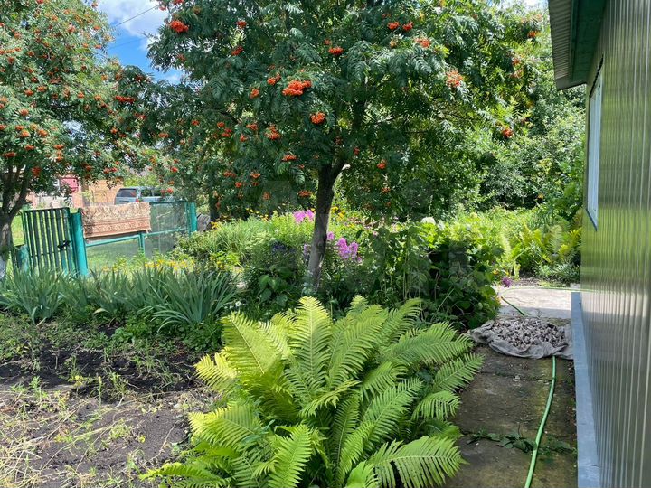 Дом 99 м² на участке 35 сот.