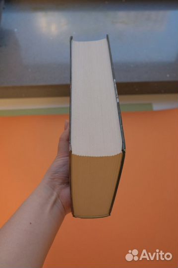 Диккер Жоэль Исчезновение Стефани Мейлер