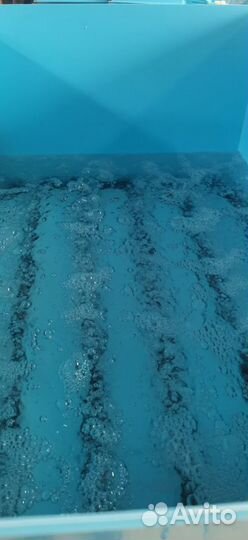 Емкость для перевозки живой рыбы, малька