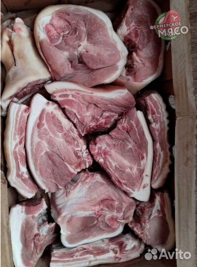 Мясо свинина