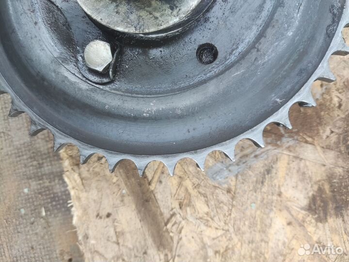 Задняя звезда Минск