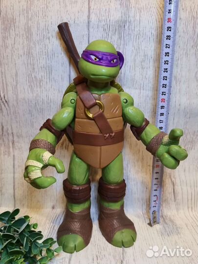 Черепашка-ниндзя