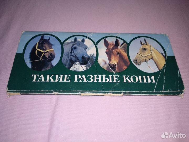 Такие разные кони. Комплект