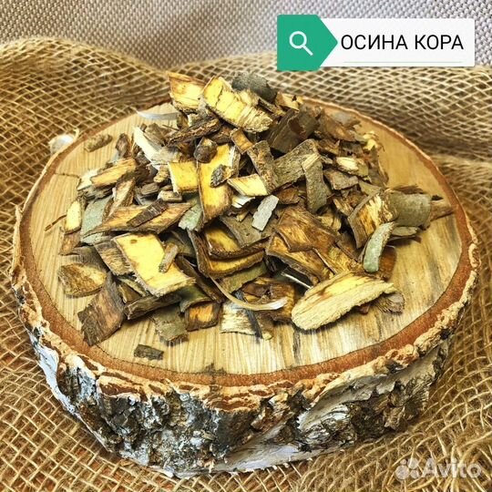 Кора молодой осины