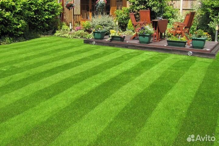 Рулонный газон от производителя