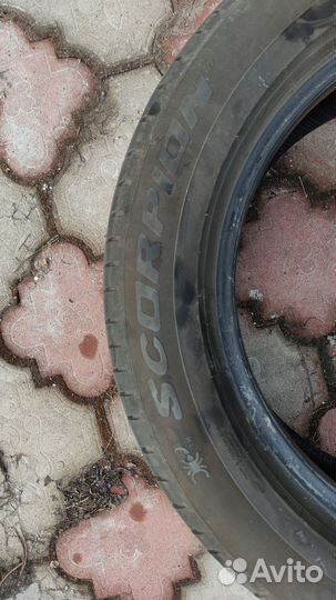 Pirelli Scorpion 225/55 R17 97V