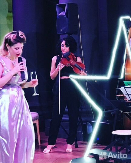 Скрипачка Музыкант