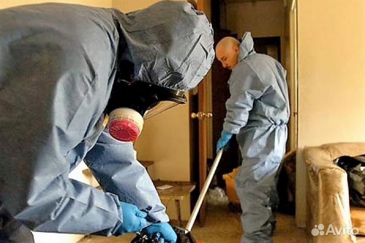 Уборка после трупа запаха смерти дезинфекция ковид