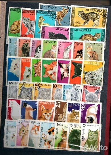Лошади, Собаки, Кошки, Бабочки, Птицы марки