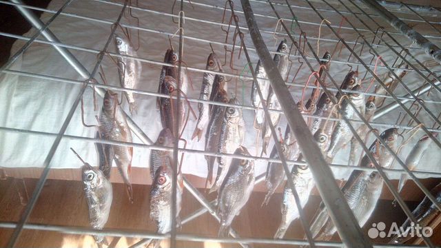 Сушилка для рыбы
