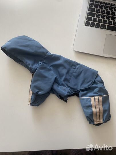 Дождевик для маленькой собаки