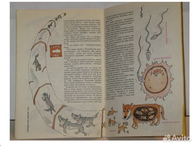 Как я появился на свет, или откуда берутся дети