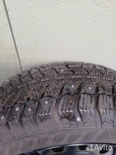 Matador MP 30 Sibir Ice 2 175/65 R14
