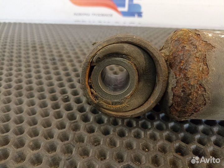 1610800 Амортизатор задний